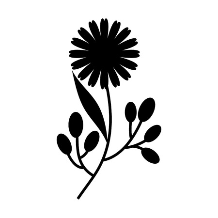 cute flower carden isolated icon vector illustration designのイラスト素材