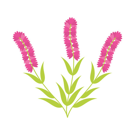 cute flower carden isolated icon vector illustration designのイラスト素材