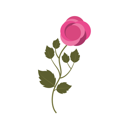 cute flower carden isolated icon vector illustration designのイラスト素材