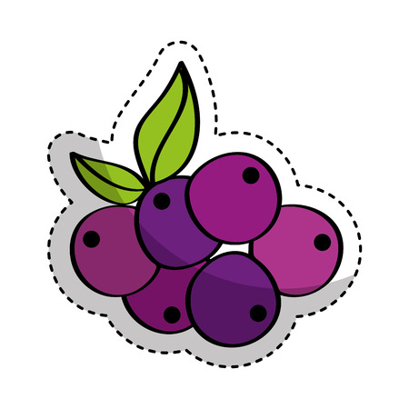 grapes fresh fruit drawing icon vector illustration designのイラスト素材