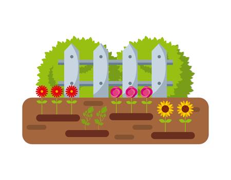 beautiful garden with flowers growing over white background. colorful design. vector illustrationのイラスト素材