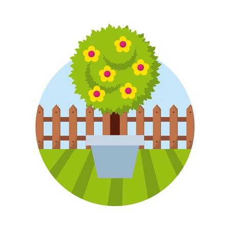 tree with beautiful flowers over white background. colorful design. vector illustrationのイラスト素材