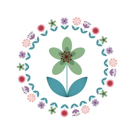 beautiful flowers over white background. colorful design. vector illustrationのイラスト素材
