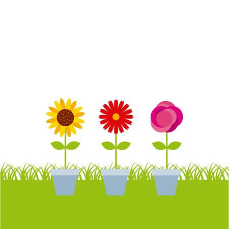 flowers in a pot over white background. colorful design. vector illustrationのイラスト素材