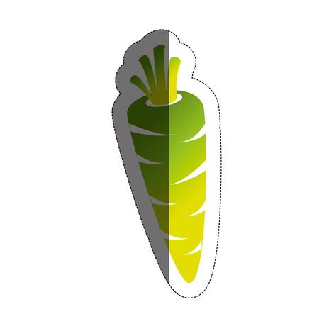 carrot vegetable icon over white background. vector illustrationのイラスト素材