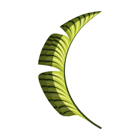 tropical leafs decorative icon vector illustration designのイラスト素材