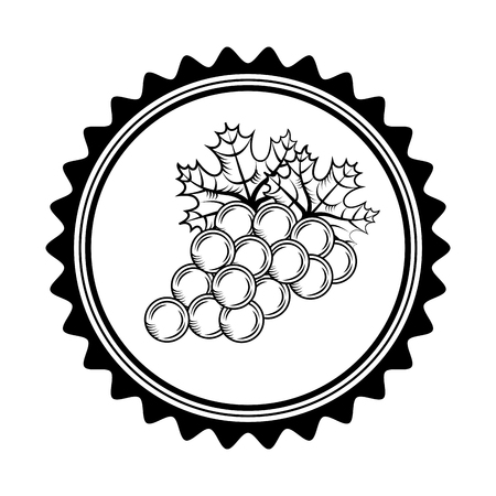 fresh grapes fruits icon vector illustration designのイラスト素材