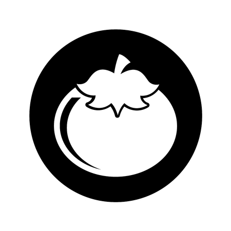 fresh tomato isolated icon vector illustration designのイラスト素材