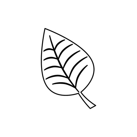leafs plant isolated icon vector illustration designのイラスト素材