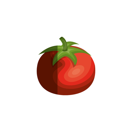 fresh tomato isolated icon vector illustration designのイラスト素材