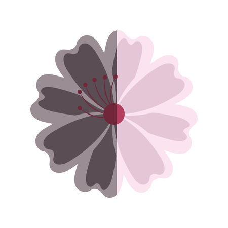 japanese cute flower icon vector illustration designのイラスト素材