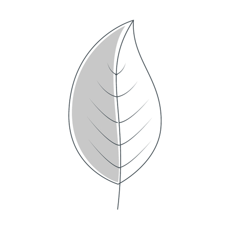 Leafs plant decorative icon vector illustration designのイラスト素材