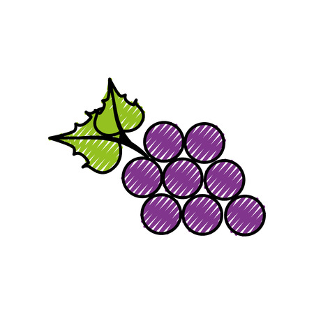 Bunch of grapes icon over white background. colorful design. vector illustrationのイラスト素材