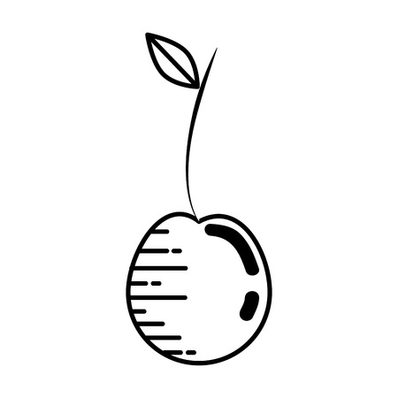 Delicious and sweet cherry icon vector illustration graphic designのイラスト素材