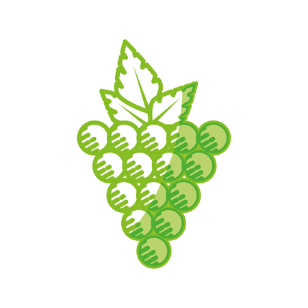 Delicious grapes fruit icon vector illustration graphic designのイラスト素材