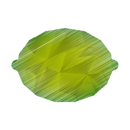 lemon fresh fruit icon vector illustration designのイラスト素材