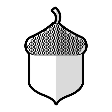 oak seed isolated icon vector illustration designの写真素材