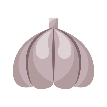garlic fresh vegetable icon vector illustration designのイラスト素材