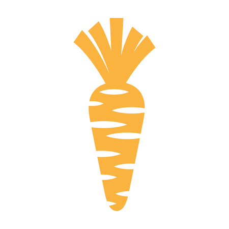 carrot fresh vegetable icon vector illustration designのイラスト素材
