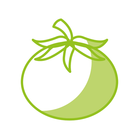 tomato fresh vegetable icon vector illustration designのイラスト素材