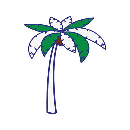 tropical palm icon over white background. vector illustrationのイラスト素材