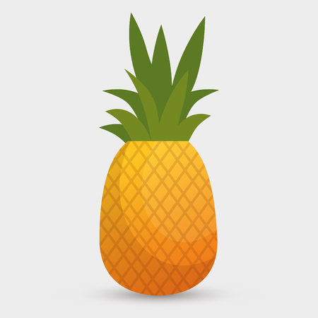 Pineapple tropical fruit icon vector illustration designのイラスト素材