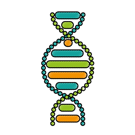 dna molecule isolated icon vector illustration designのイラスト素材