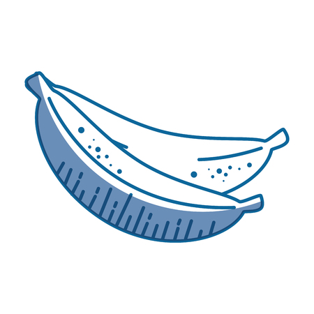 Banana fruit icon over white background. vector illustrationのイラスト素材
