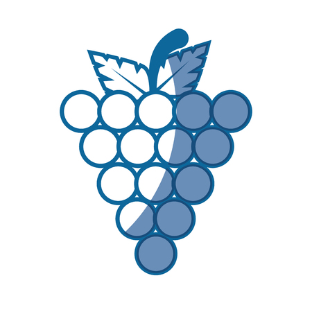 Grapes fruit icon over white background. vector illustrationのイラスト素材