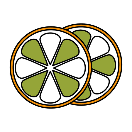 orange fruit isolated icon vector illustration designのイラスト素材