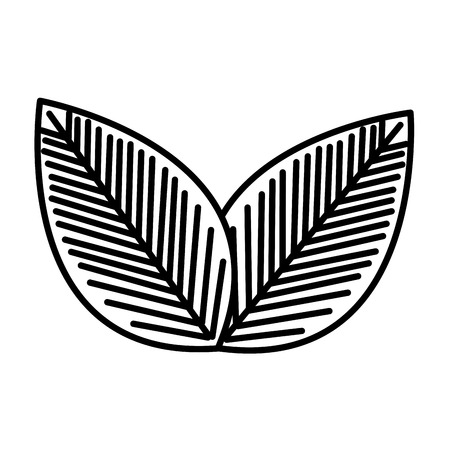 leafs plant ecology icon vector illustration designのイラスト素材