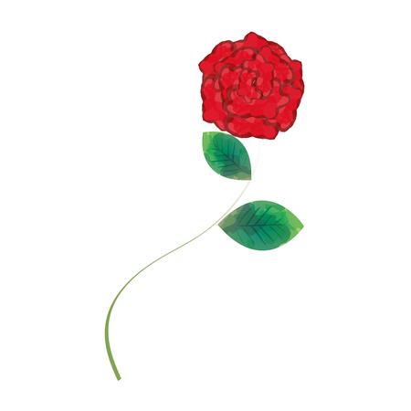 beautiful rose decoration icon vector illustration designのイラスト素材