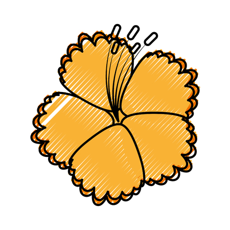 tropical and exotic flower vector illustration designのイラスト素材