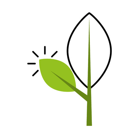 leaf plant isolated icon vector illustration designのイラスト素材