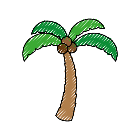 tree palm with coconut vector illustration designのイラスト素材