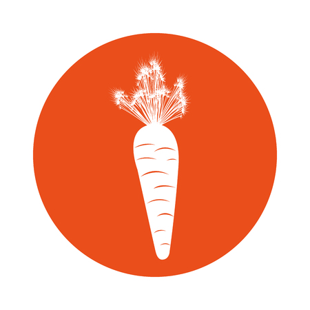 carrot fresh vegetable icon vector illustration designのイラスト素材