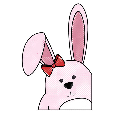 bunny animal nature vector icon illustration graphic designのイラスト素材