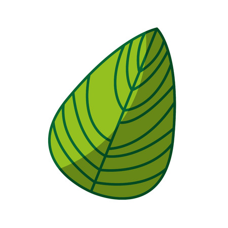 leaf decorative drawing icon vector illustration designのイラスト素材