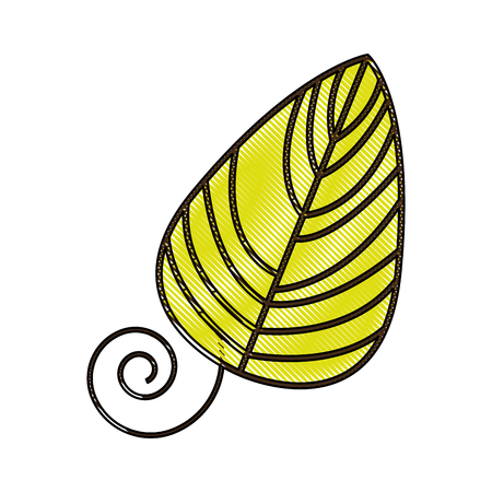 leaf decorative drawing icon vector illustration designのイラスト素材