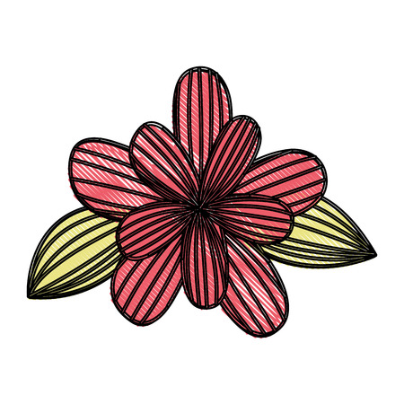 cute flower drawing decorative vector illustration designのイラスト素材