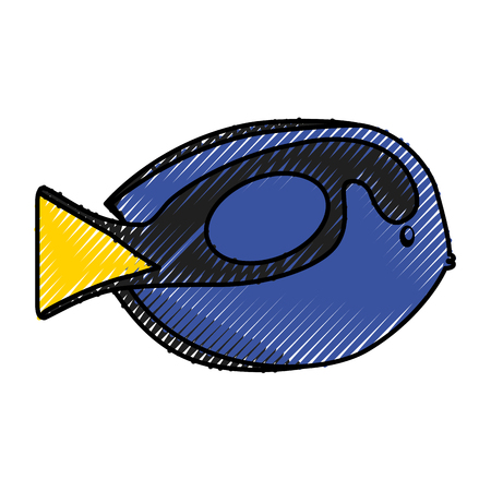 sea fish ocean life vector illustration graphic designのイラスト素材