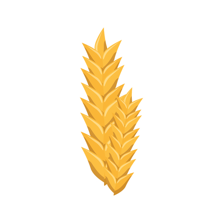wheat ears icon over white background. vector illustrationのイラスト素材