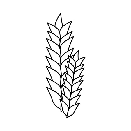 Wheat ears icon over white background. vector illustrationのイラスト素材