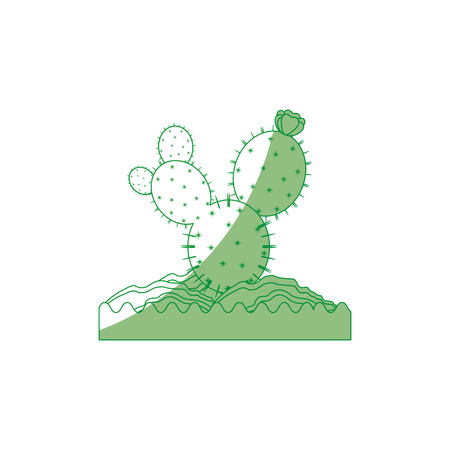 Cactus desert plant icon vector illustration graphic designのイラスト素材