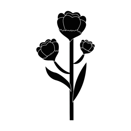 Beautiful ornamental flowers icon vector illustration graphic designのイラスト素材
