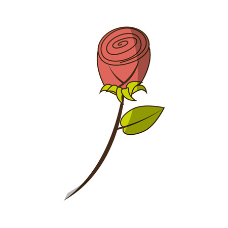Beautiful ornamental flowers icon vector illustration graphic designのイラスト素材