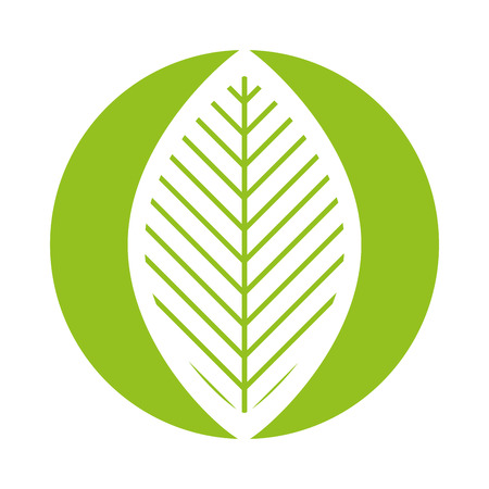 leaf plant isolated icon vector illustration designのイラスト素材
