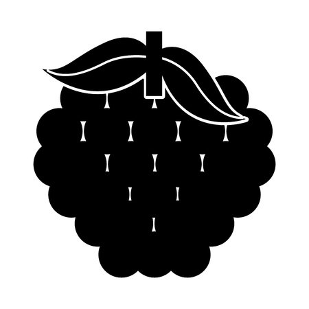 grapes fresh fruit isolated icon vector illustration designのイラスト素材