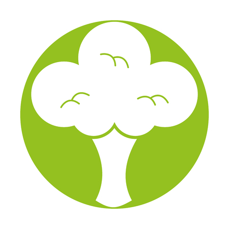 broccoli fresh vegetable isolated icon vector illustration designのイラスト素材