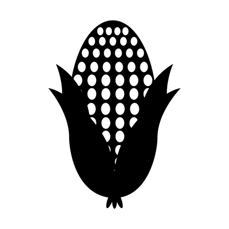 cob corn isolated icon vector illustration designのイラスト素材